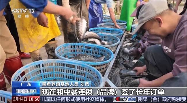 央视揭秘“鱼你模式”因何引领中国品牌出海30(图3)